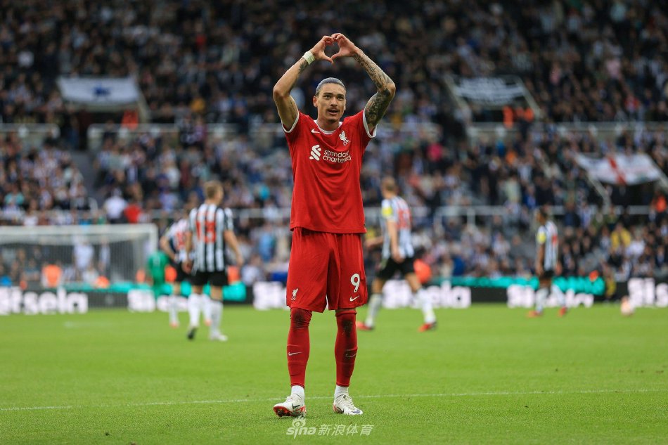 的加盟强化 的加盟强化